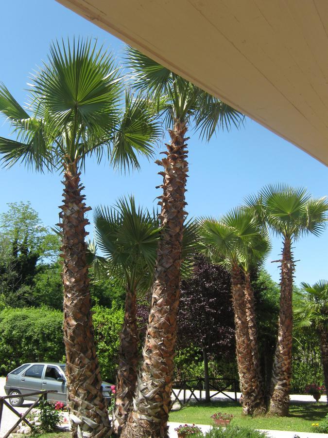 B & B Oasi Rosciano  Dış mekan fotoğraf